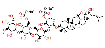 Typicoside C1